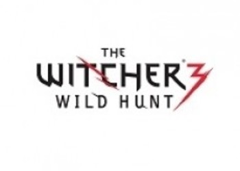 Новые детали Witcher 3: 50 часов игры, новые умения и механики