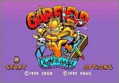 Garfield-Caught in the Act