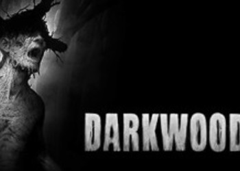 Darkwood - датирован релиз хорорра, представлено новое промо-видео проекта