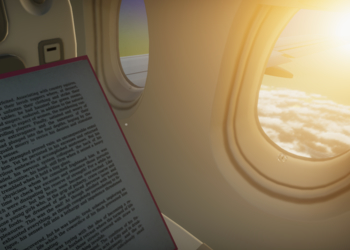 Desert Bus в воздухе : AMC Games издаст симулятор шестичасового перелета на самолете