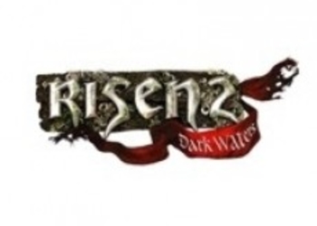 Американская обложка Risen 2: Dark Waters была изменена