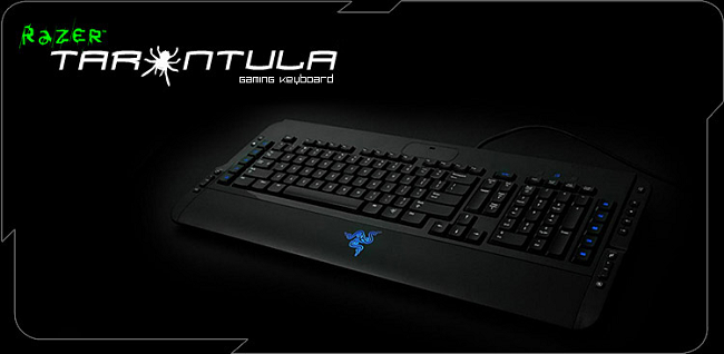 razer что за фирма. Смотреть фото razer что за фирма. Смотреть картинку razer что за фирма. Картинка про razer что за фирма. Фото razer что за фирма