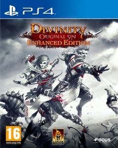 Обзор Divinity: Original Sin - Enhanced Edition