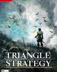 TRIANGLE STRATEGY