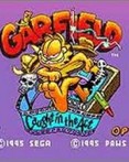 Garfield-Caught in the Act