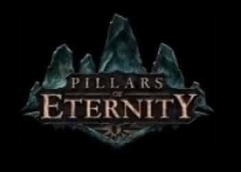 Pillars of Eternity - Obsidian уже работает над первым дополнением к игре