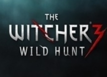 The Witcher 3: Wild Hunt - состоялся релиз инструментария для модинга