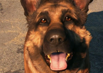 Пес из Fallout 4 назван лучшей игровой собакой на церемонии World Dog Awards