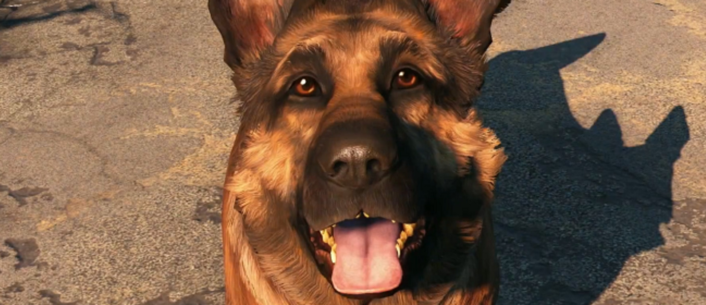 Пес из Fallout 4 назван лучшей игровой собакой на церемонии World Dog Awards