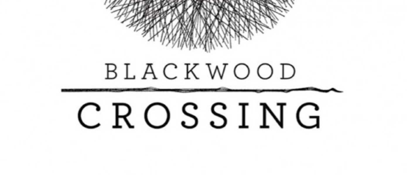 Blackwood Crossing готовится к выходу на PS4, Xbox One и PC