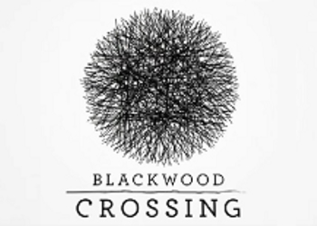 Blackwood Crossing - состоялась премьера адвенчуры о жизни от студии PaperSeven