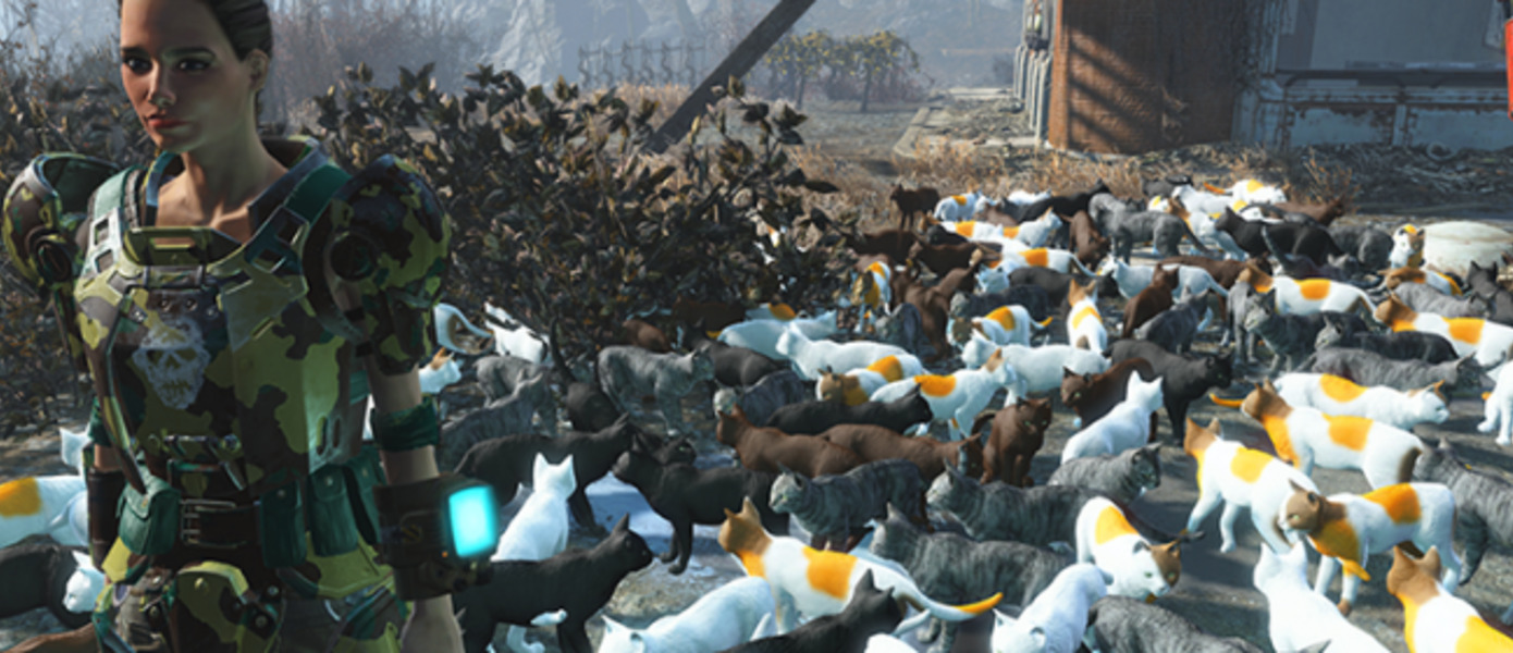 Пять модификаций для Skyrim и Fallout, исправляющих очевидные проблемы с котами