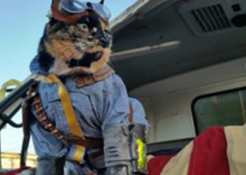 Пять модификаций для Skyrim и Fallout, исправляющих очевидные проблемы с котами