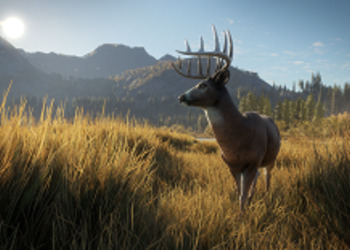 The Hunter: Call of the Wild - симулятор охоты от создателей серии Just Cause анонсирован для Xbox One и PlayStation 4