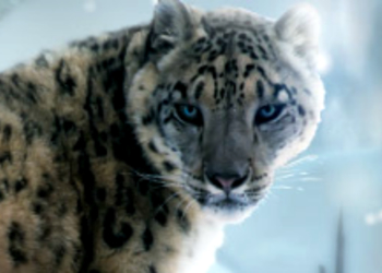 101XP станет опекуном трех животных в Московском зоопарке
