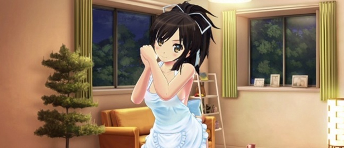 Shinobi Refle: Senran Kagura  - на Nintendo Switch вышла позволяющая трогать девушек за грудь и массажировать бедра игра