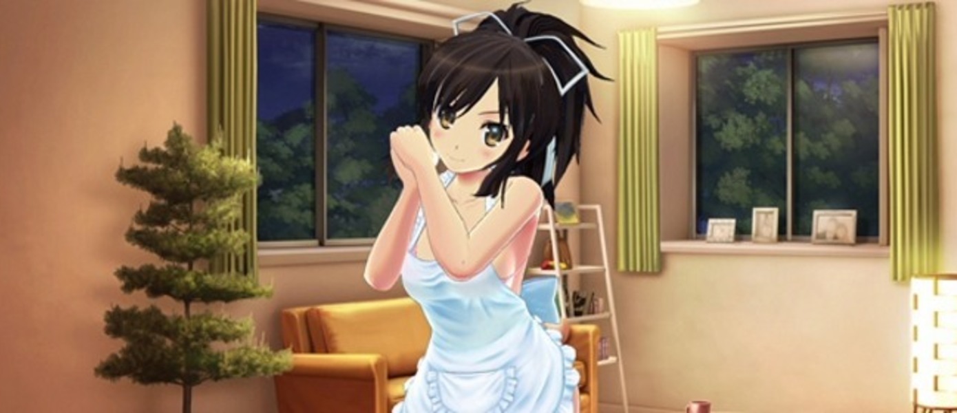 Shinobi Refle: Senran Kagura - на Nintendo Switch вышла позволяющая трогать девушек за грудь и массажировать бедра игра