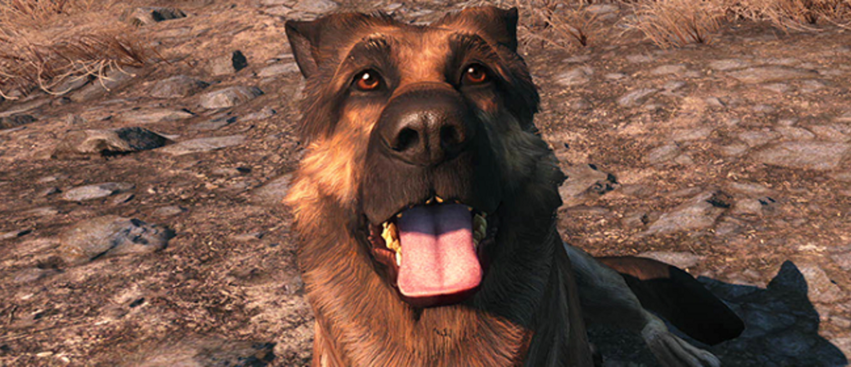 Fallout 4 пес что то нашел фото 67