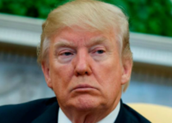 Стало известно, кого из индустрии Дональд Трамп позвал для обсуждения жестокости видеоигр