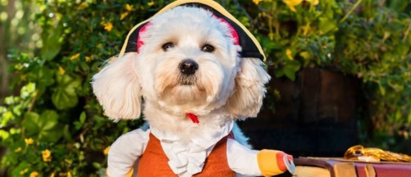 Rare продает календарь с фотографиями собак своих сотрудников - все средства пойдут на благотворительность