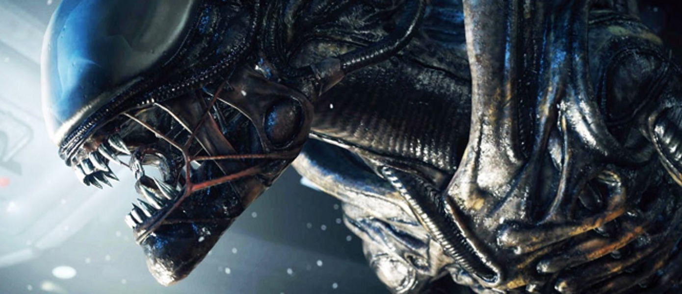 Слух: Alien: Isolation получит анимационный сериал по мотивам с рейтингом R