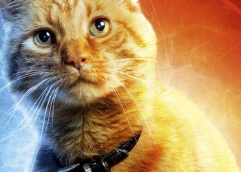 Purina: 98 % россиян считают необходимым учить детей ответственному отношению к домашним животным