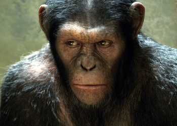 Новую «Планету обезьян» при содействии Disney снимет режиссёр «Бегущего в лабиринте» Уэс Болл
