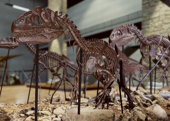 Dinosaur Fossil Hunter: Дотошный симулятор палеонтолога готовится к релизу в 2020 году