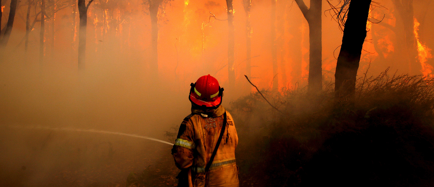 Ubisoft пожертвовала деньги на борьбу с последствиями лесных пожаров в Австралии