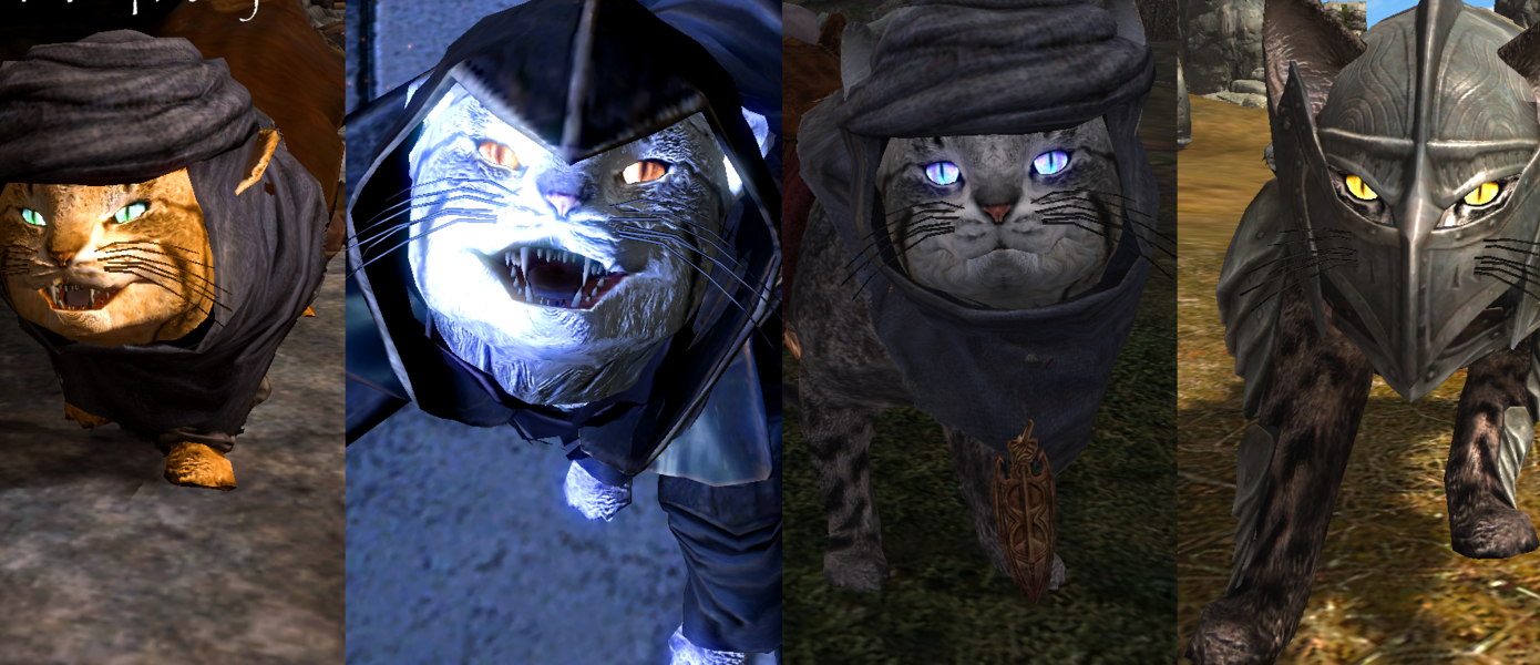 Фус Ро Мяу - котики становятся компаньонами в новом моде для The Elder Scrolls V: Skyrim