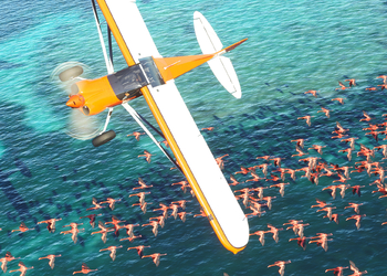 Новые скриншоты реалистичного авиасимулятора Microsoft Flight Simulator демонстрируют красоты мира