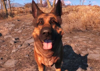 В Fallout 76 появятся домашние животные, но есть их нельзя