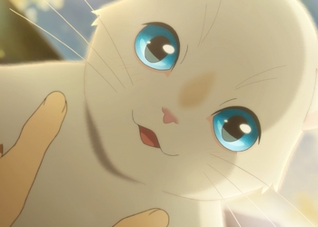 Netflix спасает аниме: раскрыта новая дата премьеры полнометражной картины «Сквозь слёзы я притворяюсь кошкой»