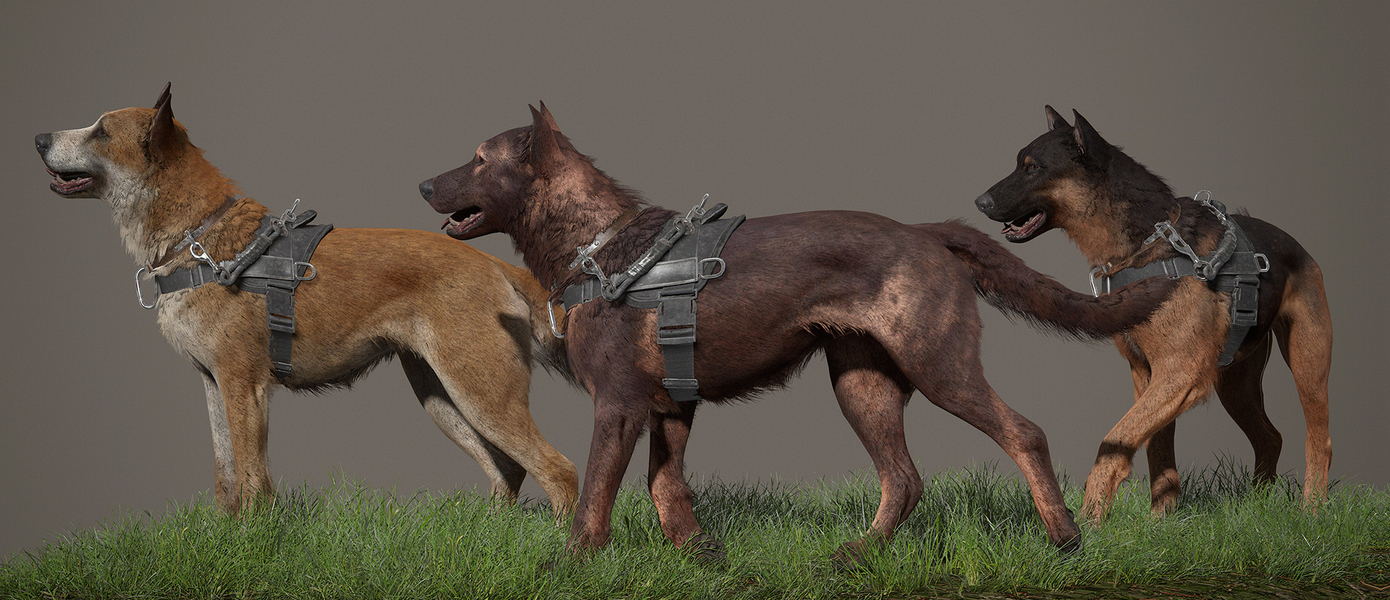 Четыре лапы, один хвост: Взгляните на собачек, сыгравших в The Last of Us: Part II для PlayStation 4