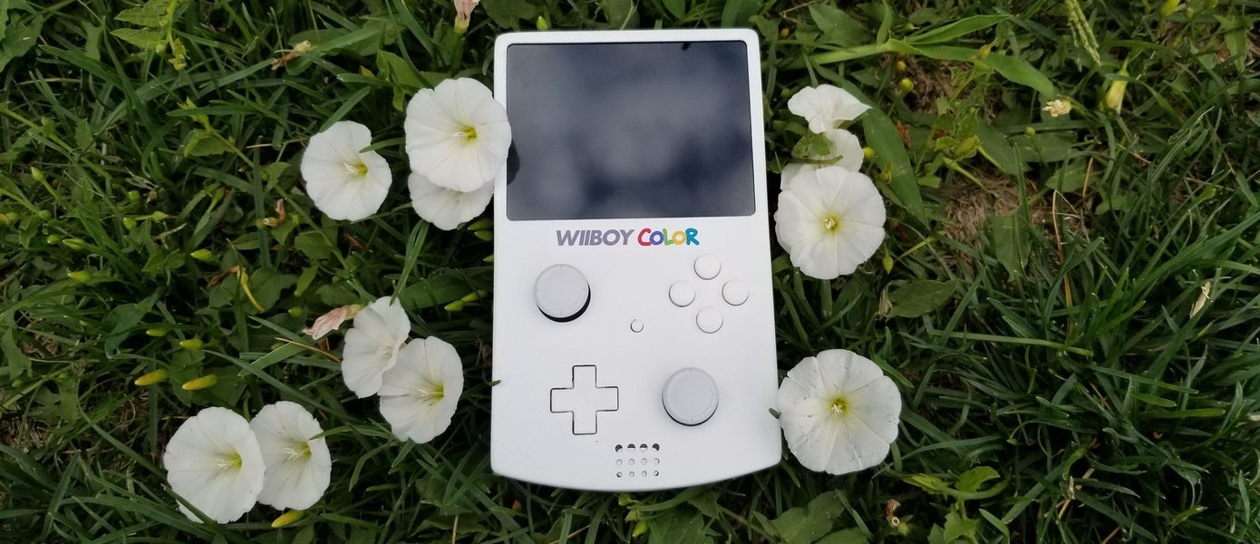 Карманная Wii размером с GameBoy Color - интересная идея консоли-портативки от энтузиаста