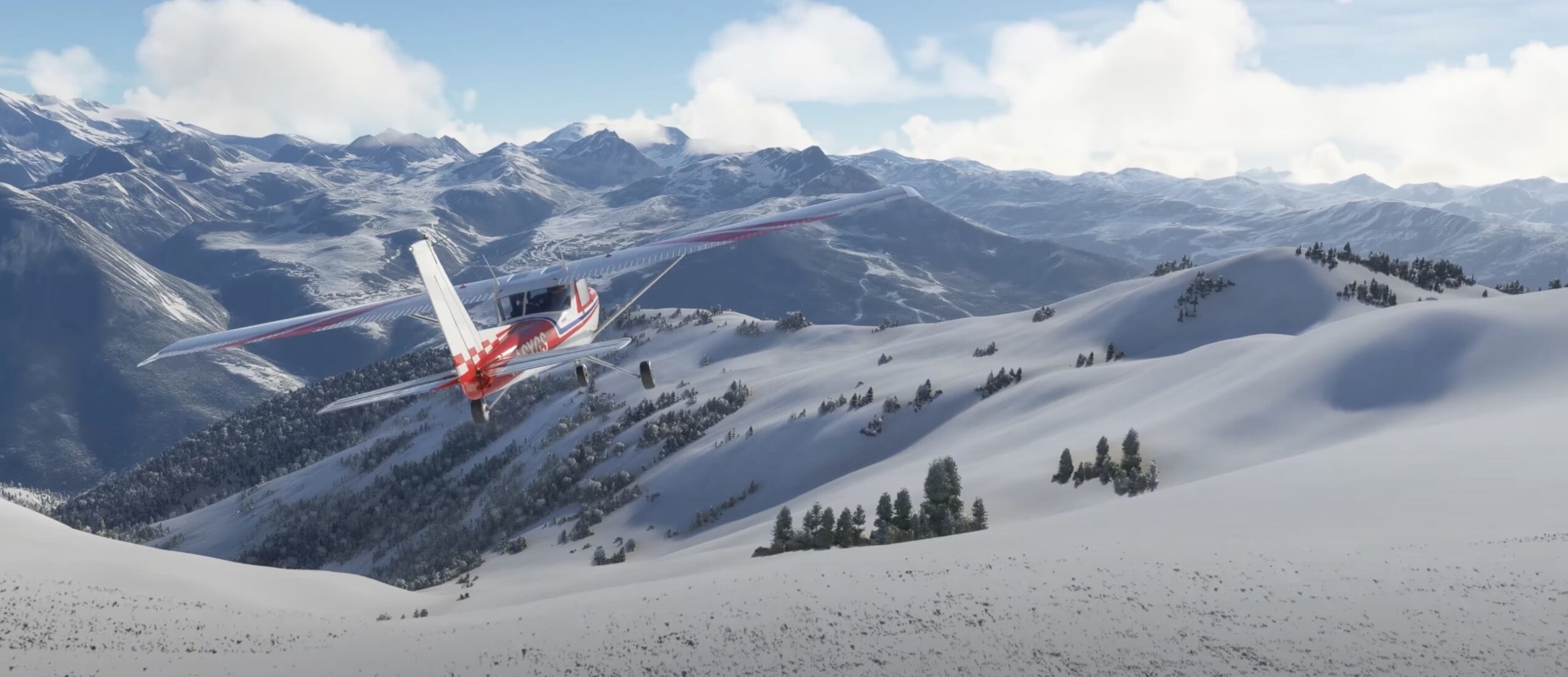 Snowbird Flight