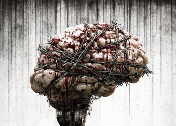 Microsoft отметила покупку Bethesda розыгрышем уникальных контроллеров Xbox в стиле Fallout, The Evil Within и других серий