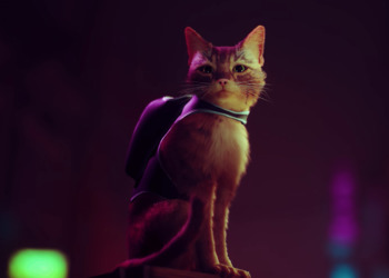 Stray про бродячего кота выйдет на PS4 — новый трейлер, детали и окно релиза