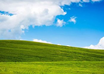 Windows XP исполнилось 20 лет — системой до сих пользуются миллионы