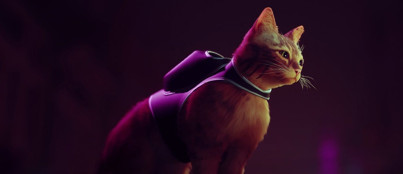 Игра Stray про бродячего кота для PS4, PS5 и PC получила возрастной рейтинг в Южной Корее