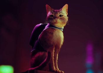 Игра Stray про бродячего кота для PS4, PS5 и PC получила возрастной рейтинг в Южной Корее