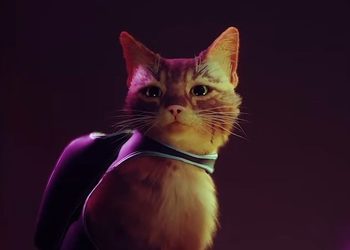 В PSN появилась возможная дата релиза Stray — консольного эксклюзива PlayStation про бродячего кота в мире киберпанка