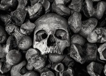 Инсайдер: Ubisoft готова полноценно представить многострадальную пиратскую игру Skull & Bones