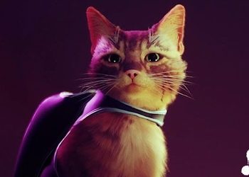 Стало известно, сколько свободного пространства займут консольные версии Stray про бродячего кота в мире киберпанка