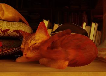 Запуск Stray в Steam оказался рекордным для Annapurna Interactive — игра про кота привлекла большую аудиторию