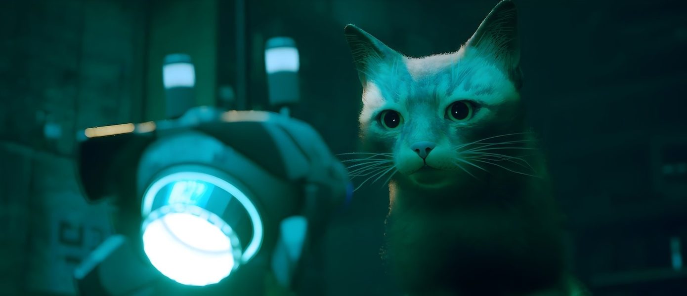 Игроки без ума от Stray — в Steam пользовательский рейтинг новинки про кота достиг 97%