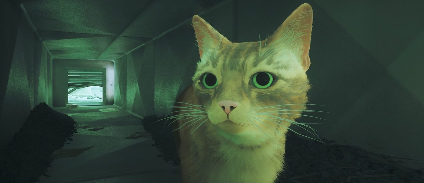 Обошла God of War от Sony: Stray про кота возглавила список самых высокооцененных игр 2022 года в Steam