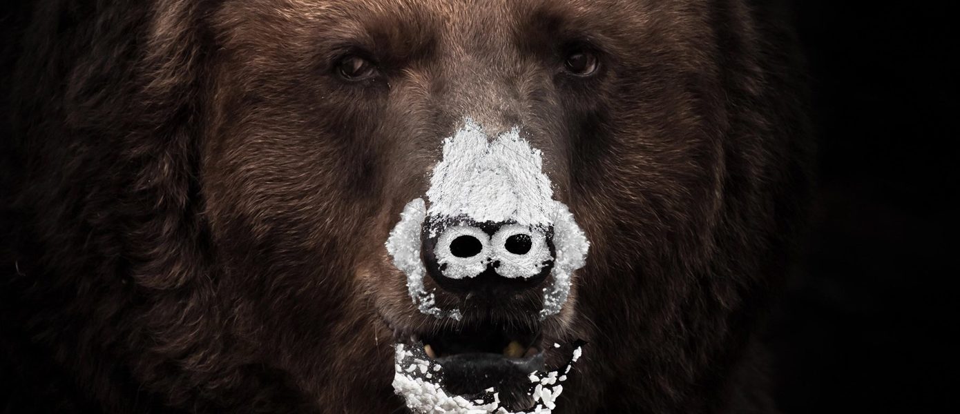 Вышел первый трейлер фильма «Кокаиновый медведь» об употребившем наркотики диком животном