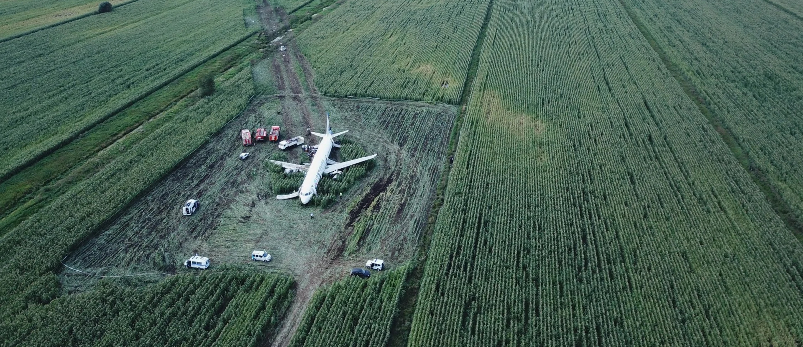 Пассажиры самолета в поле