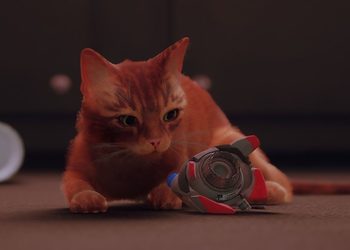 Игра про кота Stray помогает собирать деньги на помощь бездомным животным